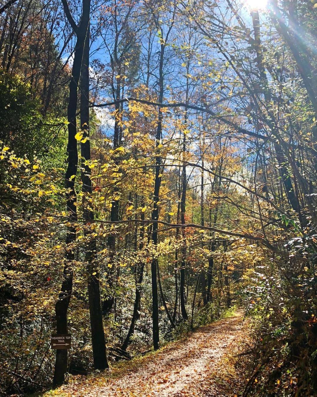 Horseshoe Hideaway Sevierville Eksteriør bilde